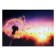 Picture on canvas "Dandelion at sunset" 50*70 cm