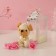 Gift set "white" soap roses 5 pcs, dew 7x7x12 cm