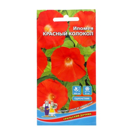 Flowers of the Ipomey "Red Bell", 12 pcs,