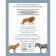 Animals. Visual encyclopedia. Tony Hea