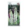 Flowers of Lupine "Geyser", 0.3 g