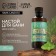 Infusion for the bath "needles and mint", 250 ml, aroma of needles and mint, bath spirit