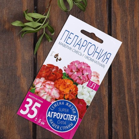 Set of indoor flowers "Hit Sales"-12