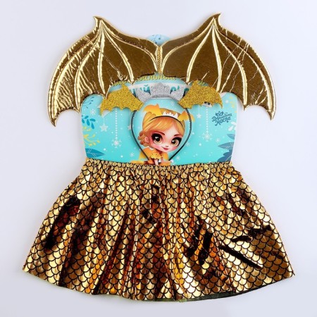 Carnival set "Winter Dragon", yellow color: wings, skirt and rim-13
