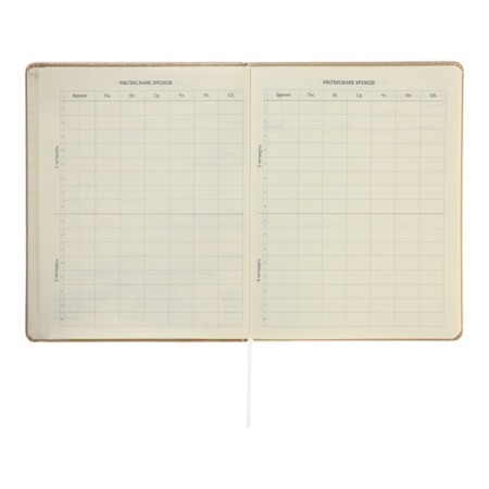 Universal diary for grade 1-11 Bow, hard cover, artificial leather, foil embossing, lies, 80 g/m2-5