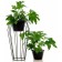 66-401 Stream for flowers 66-401 37x37x65 cm