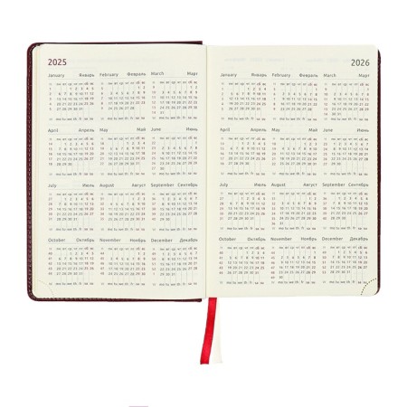 Dated diary 2024 A5 176 sheets, Devente.wild, Firmly covered with artificial leather, gold cut, lies, cream block 70 g/m2, burgundy block-9