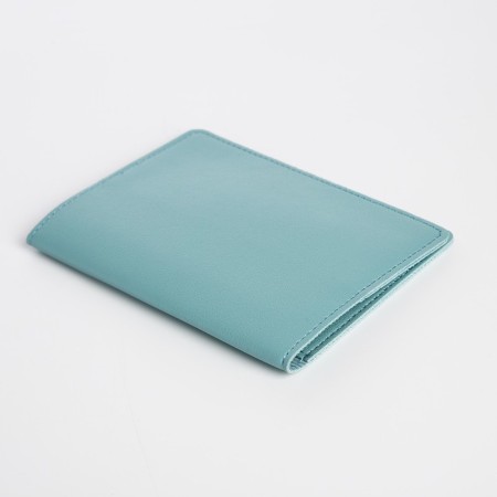 Cover for passport, blue color-2