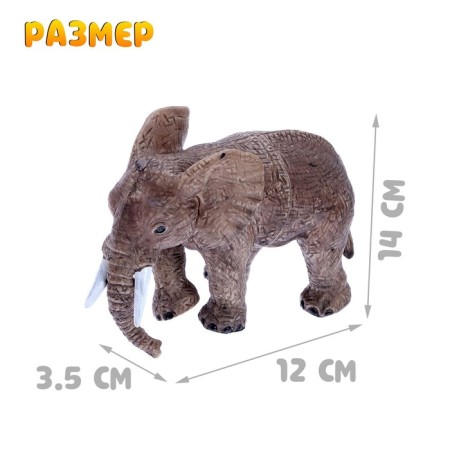 Animal set "Wild"-1