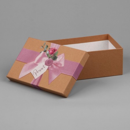 Rectangular gift box, packaging, Pressent, 22 x 14 x 8.5 cm-3