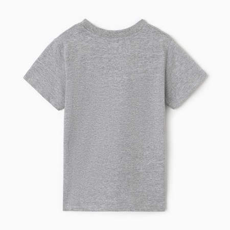 T -shirt for a boy, color gray melange, height 110 cm-3