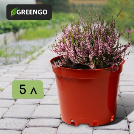 Pot for seedlings, 5 l, d = 22 cm, h = 18 cm, terracotta, Greengo