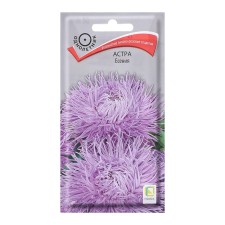 Seeds color Astra 
