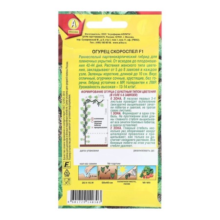 Cucumber seeds grew up F1 desks ts/p 10pcs-1