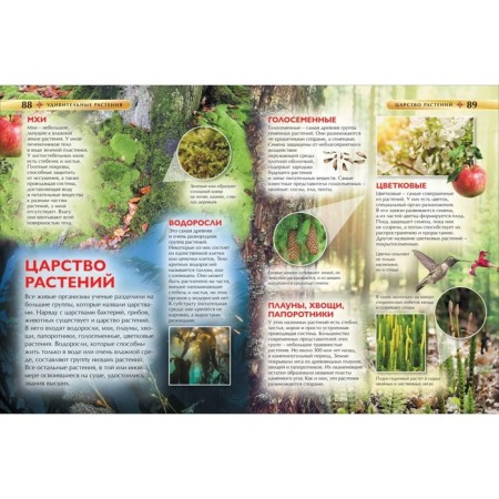 The best illustrated encyclopedia for girls-2
