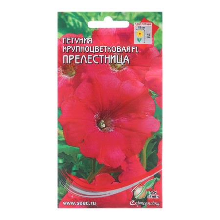 Petunia flowers are low. Krulezv. "Knight", 30 pcs
