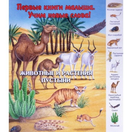 Animals and desert plants