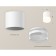 Ambrella Light Acrylic lamp, XS7401043, MR16 GU5.3 LED 10 watts, white sand, white matte, transparent