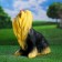 Garden figure "Yorkshire Terrier Singing" Big 30x20x35cm