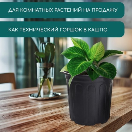 Pot for seedlings, 1.7 l, d = 16.6 × 15 cm Greengo-4