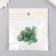 Brads for scrapbooking "Palm leaves" set of 20 pcs 0.8x1.7x1.4 cm