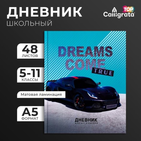 Diary for grades 5-11, Dreams Come True, solid cover 7BC, matte lamination, foil embossing, 48 sheets
