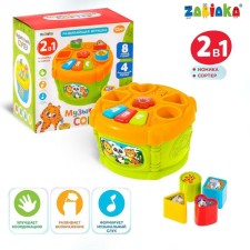 Developing toy 