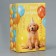 Gift rectangular, packaging, “Happy Birthday”, 24 x 15.5 x 9.5 cm