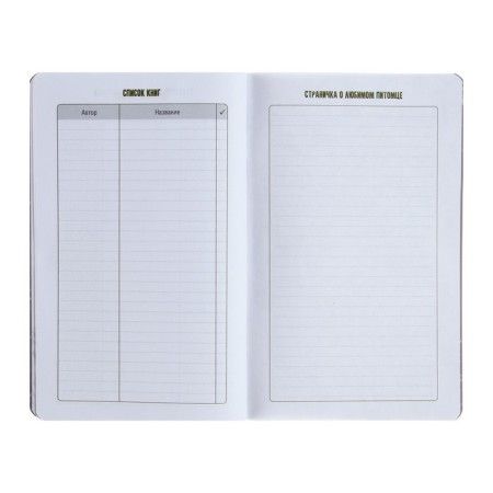 Notebook for boys A5, 56 sheets, "In the distance", cardboard cover, lamination "SOFT-Tach", selective varnish, OFSET 65G/m2 unit-11