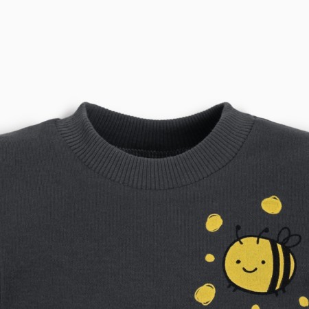 Kidsa (sweatshirt, trousers) minku, graphite/yellow color, height 86-92 cm-4