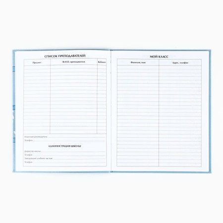School diary for grade 1-11, in an integrated cover, 40 l. "Panda"-1