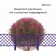 Decorative fence, 35 × 220 cm, 5 sections, plastic, lilac, Romanika, Greengo