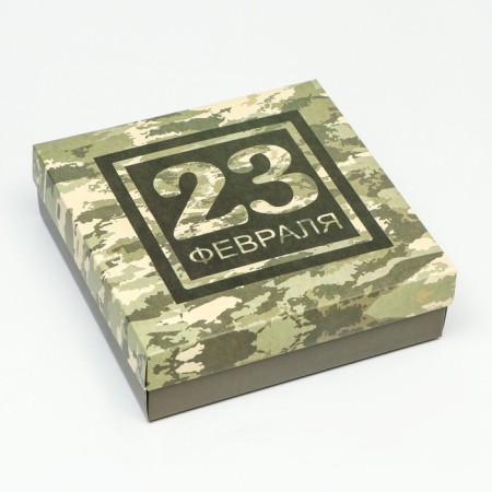 Folding box, "camouflage" 20 x 20 x 6 cm-2