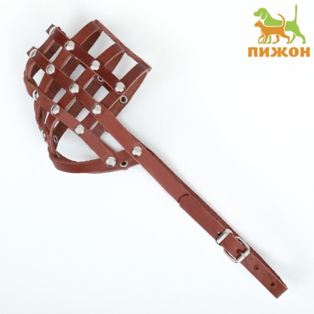 Bordordnik leather, size 26 (English cocker spaniel, fox terrier, shallow like), cognac