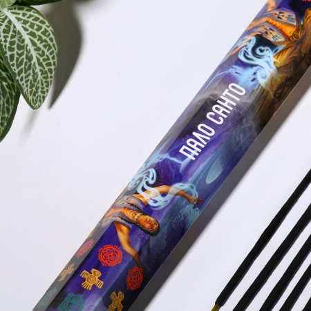 Incense "fell Santo", 20 sticks in the package, hexagon-1