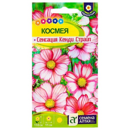 Cosmea Sensation Cosmes Cosmes Kendi Straip, O, CP, 0.5 g