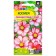 Cosmea Sensation Cosmes Cosmes Kendi Straip, O, CP, 0.5 g