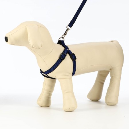 Acunition set is embossed, leash 120 x 1.5 cm, OG 36-49 cm, blue-black-7