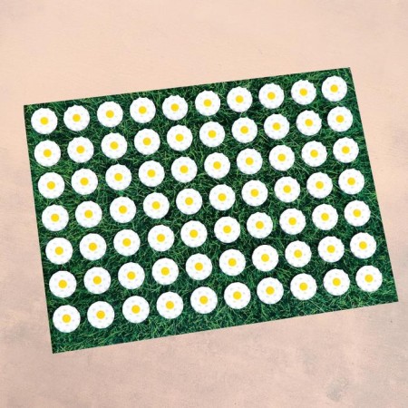 Kuznetsov applicator "Relaxer", 70 spines, film, 23 x 32 cm-3