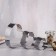 A set of baking forms and calculation "Heart", 14x16x5 cm, 3 pcs