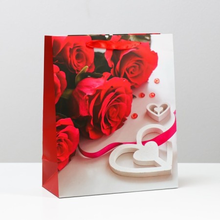 Laminated package, 26 x 32 x 12 cm