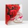 Laminated package, 26 x 32 x 12 cm