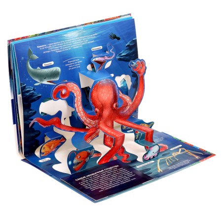 Encyclopedia Pop Up "Sea"-5