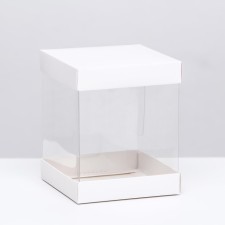 Box with PVC mini 10 x 10 x 12 cm 