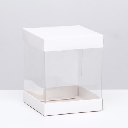 Box with PVC mini 10 x 10 x 12 cm "White"