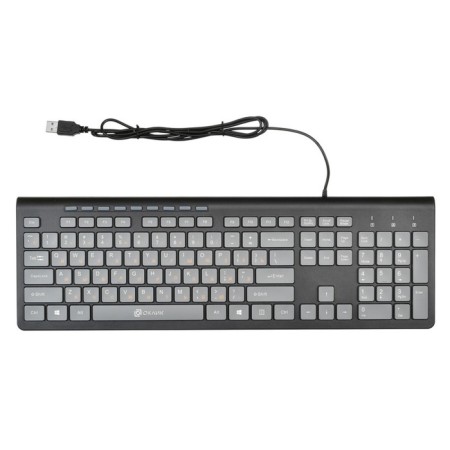Keyboard Rick 480m Black/Gray USB Slim Multimedia (1067199)-1