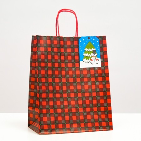 Crafts "Red Blue Craft" 22 x 12 x 27 cm