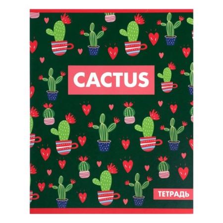 A set of notebooks of 5 pieces, 36 sheets in the Calligrata cactus cage, covered cardboard, offset block-2