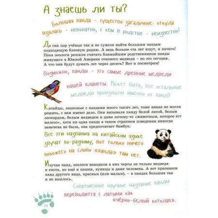 I am a big panda. Coloring inside. Shifrin E.-5