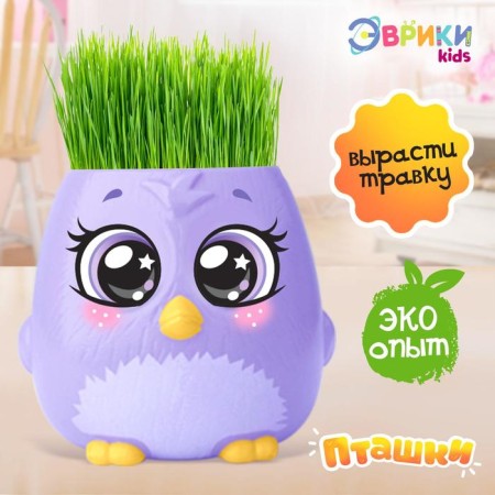 Set for experiments "Ptashki, grow grass", purple pot